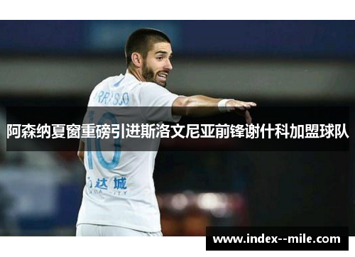 阿森纳夏窗重磅引进斯洛文尼亚前锋谢什科加盟球队